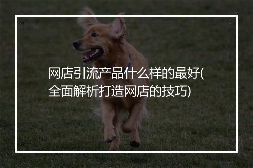 网店引流产品什么样的最好(全面解析打造网店的技巧)