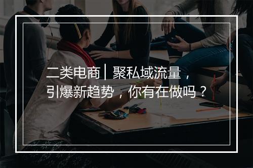 二类电商 ▏聚私域流量，引爆新趋势，你有在做吗？