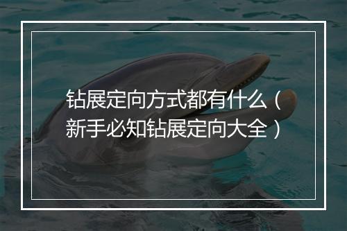钻展定向方式都有什么（新手必知钻展定向大全）