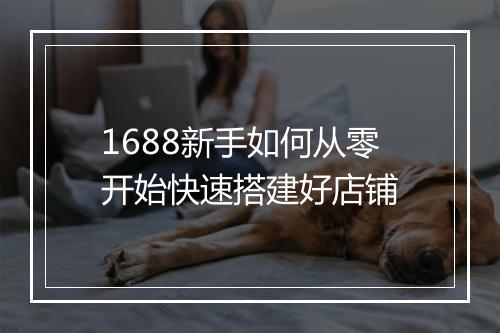 1688新手如何从零开始快速搭建好店铺