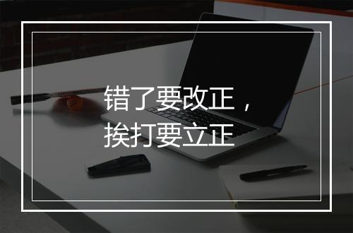 错了要改正，挨打要立正