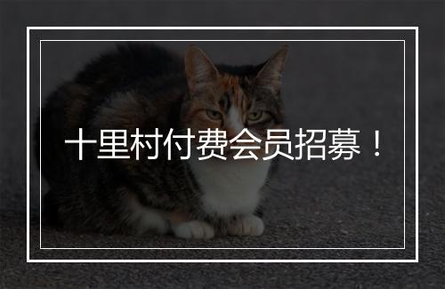 十里村付费会员招募！