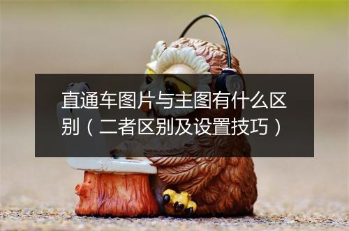 直通车图片与主图有什么区别（二者区别及设置技巧）