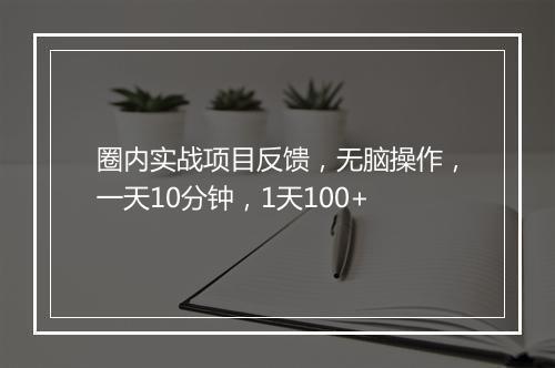 圈内实战项目反馈，无脑操作，一天10分钟，1天100+