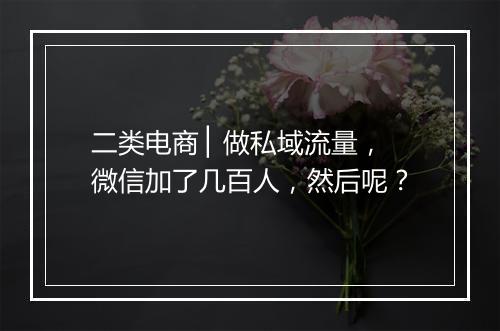 二类电商 ▏做私域流量，微信加了几百人，然后呢？