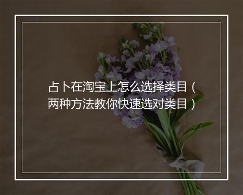 占卜在淘宝上怎么选择类目（两种方法教你快速选对类目）