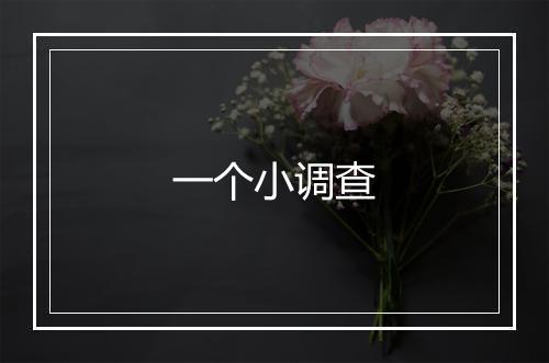 一个小调查