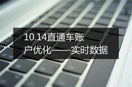 10.14直通车账户优化——实时数据