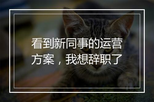 看到新同事的运营方案，我想辞职了