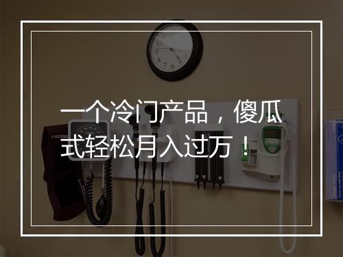 一个冷门产品，傻瓜式轻松月入过万！