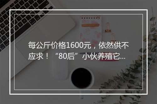 每公斤价格1600元，依然供不应求！“80后”小伙养殖它年入400万！