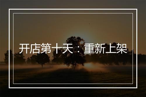 开店第十天：重新上架