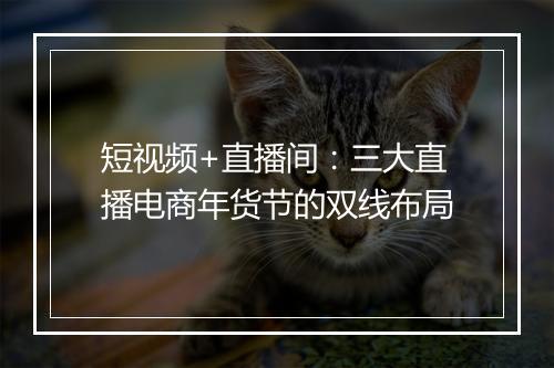 短视频+直播间：三大直播电商年货节的双线布局