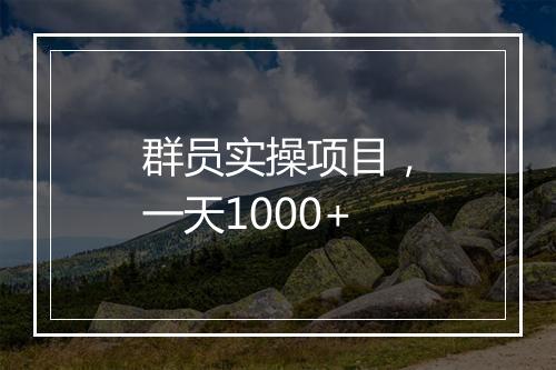 群员实操项目，一天1000+