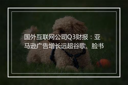 国外互联网公司Q3财报：亚马逊广告增长远超谷歌、脸书