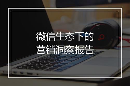 微信生态下的营销洞察报告