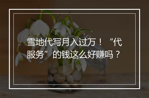 雪地代写月入过万！“代服务”的钱这么好赚吗？