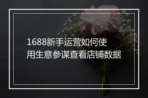 1688新手运营如何使用生意参谋查看店铺数据