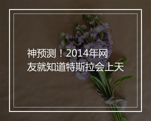 神预测！2014年网友就知道特斯拉会上天