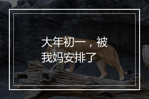 大年初一，被我妈安排了