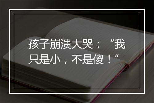 孩子崩溃大哭：“我只是小，不是傻！”