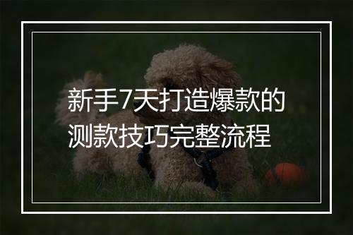 新手7天打造爆款的测款技巧完整流程