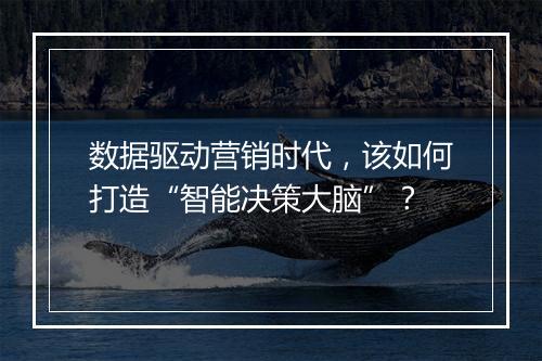 数据驱动营销时代，该如何打造“智能决策大脑”？