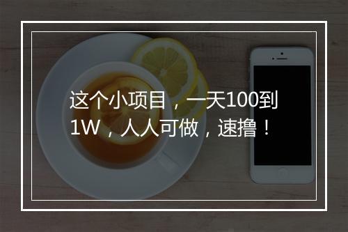 这个小项目，一天100到1W，人人可做，速撸！