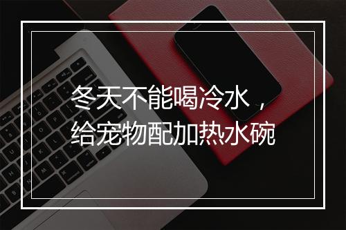 冬天不能喝冷水，给宠物配加热水碗
