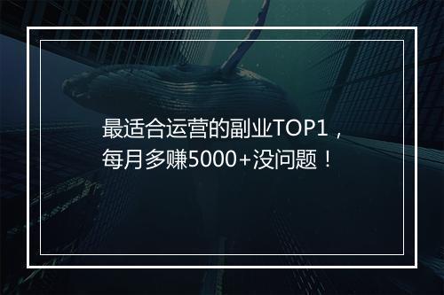 最适合运营的副业TOP1，每月多赚5000+没问题！