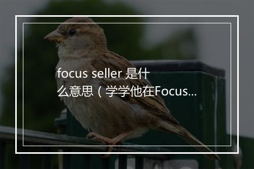 focus seller 是什么意思（学学他在Focus Seller 中乘东风顺势出海）