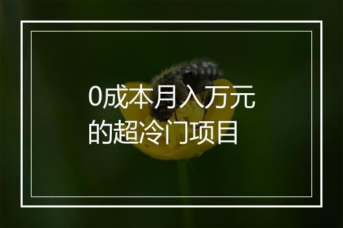 0成本月入万元的超冷门项目