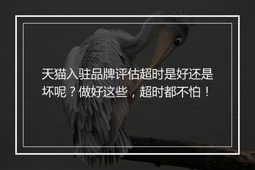 天猫入驻品牌评估超时是好还是坏呢？做好这些，超时都不怕！