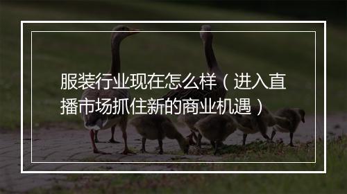 服装行业现在怎么样（进入直播市场抓住新的商业机遇）