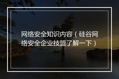 网络安全知识内容（硅谷网络安全企业技盟了解一下）
