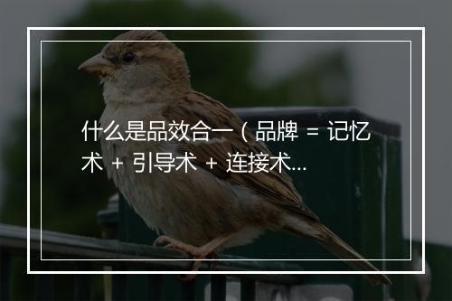 什么是品效合一（品牌 = 记忆术 + 引导术 + 连接术）