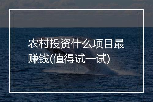 农村投资什么项目最赚钱(值得试一试)