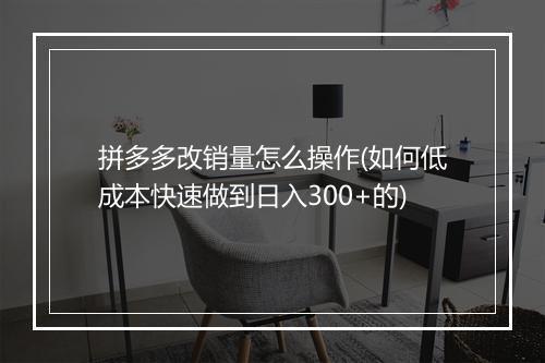 拼多多改销量怎么操作(如何低成本快速做到日入300+的)