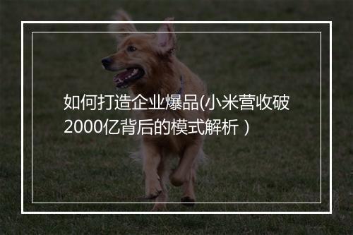 如何打造企业爆品(小米营收破2000亿背后的模式解析）