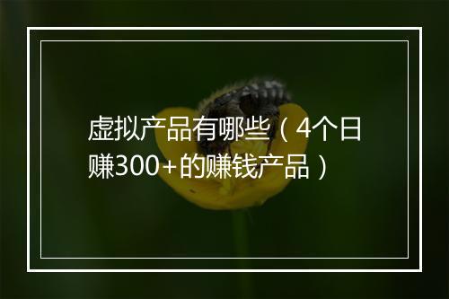 虚拟产品有哪些（4个日赚300+的赚钱产品）