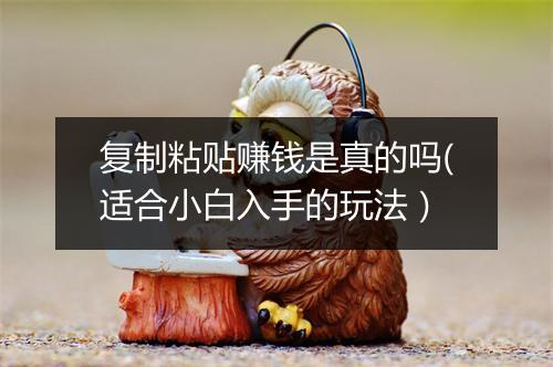 复制粘贴赚钱是真的吗(适合小白入手的玩法）
