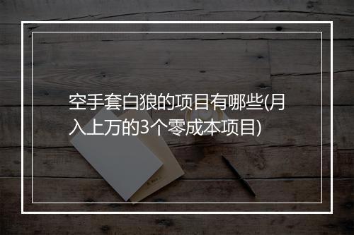 空手套白狼的项目有哪些(月入上万的3个零成本项目)