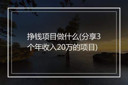 挣钱项目做什么(分享3个年收入20万的项目)