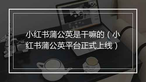 小红书蒲公英是干嘛的（小红书蒲公英平台正式上线）
