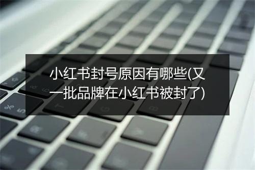 小红书封号原因有哪些(又一批品牌在小红书被封了)