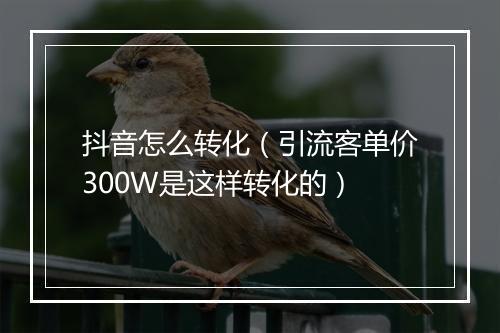 抖音怎么转化（引流客单价300W是这样转化的）
