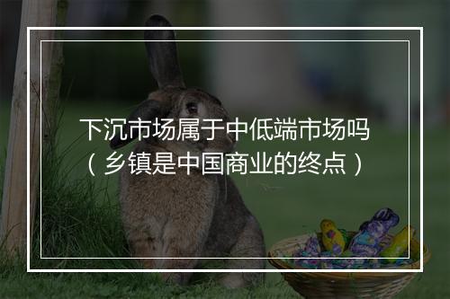 下沉市场属于中低端市场吗（乡镇是中国商业的终点）