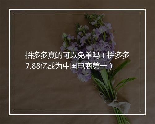 拼多多真的可以免单吗（拼多多7.88亿成为中国电商第一）