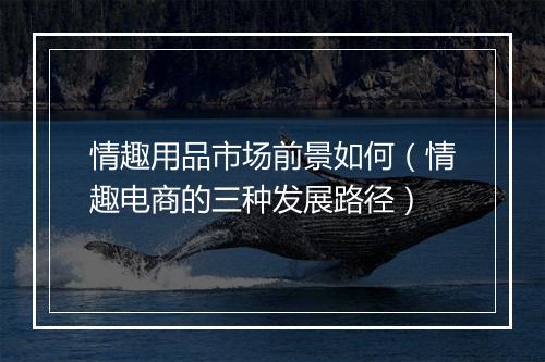 情趣用品市场前景如何（情趣电商的三种发展路径）