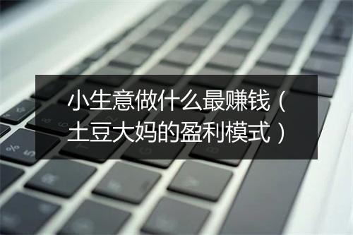 小生意做什么最赚钱（土豆大妈的盈利模式）